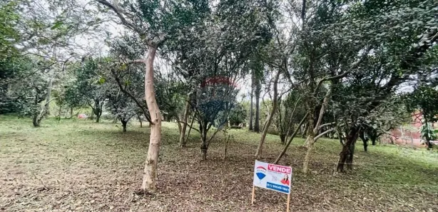 Lote/Terreno à venda, 1075m² no Centro, Nova Santa Rita