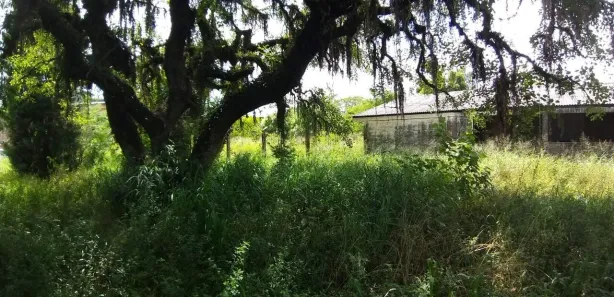 Lote/Terreno à venda, 1426m² no Augusta, Viamão