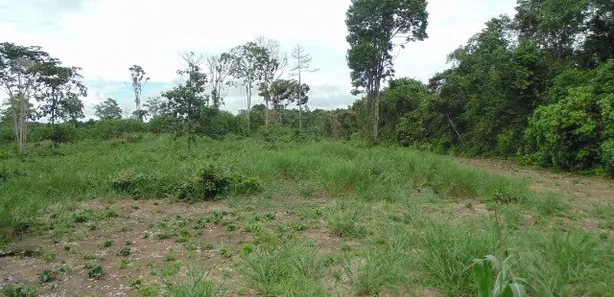 Lote/Terreno à venda, 230000m² no Puraquequara, Manaus