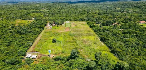 Fazenda/Sítio à venda, 30000m² no Zona Rural, Altos