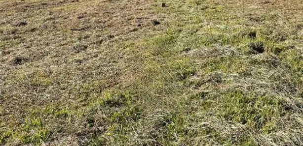 Lote/Terreno à venda, 734m² no Centro, Porto União