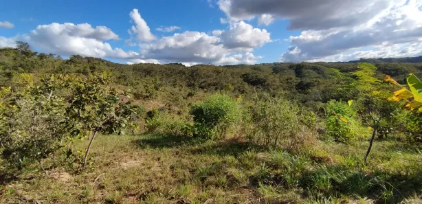 Fazenda/Sítio à venda, 20000m² no , Brasília