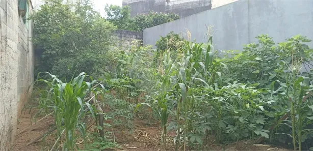 Ponto Comercial à venda, 220m² no Jardim Bertioga, Várzea Paulista