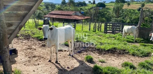 Fazenda/Sítio com 2 Quartos à venda, 96000m² no Zona Rural, Goianápolis