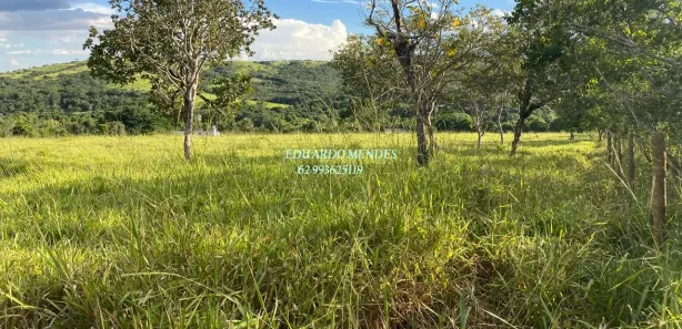 Fazenda/Sítio com 3 Quartos à venda, 96800m² no Planalmira, Abadiânia