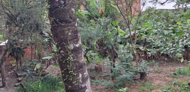 Fazenda/Sítio com 3 Quartos à venda, 156m² no Campo Grande, Rio de Janeiro
