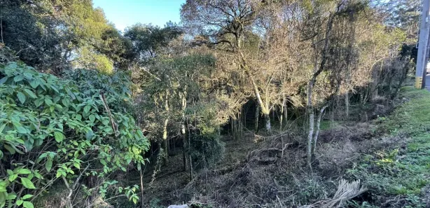 Lote/Terreno à venda, 389m² no Cruzeiro, Caxias do Sul