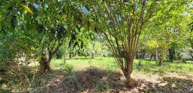 Lote/Terreno à venda, 589m² no Centro, Vera Cruz