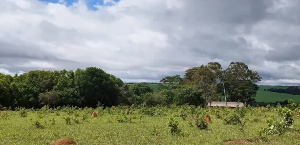 Fazenda/Sítio com 5 Quartos à venda, 2710400m² no , Silvânia