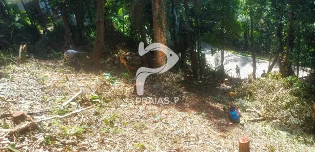 Lote/Terreno à venda, 1650m² no Balneario Praia do Perequê, Guarujá