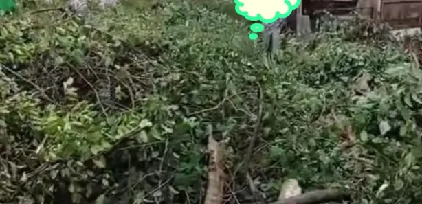 Lote/Terreno à venda, 300m² no Cidade Nova, Manaus