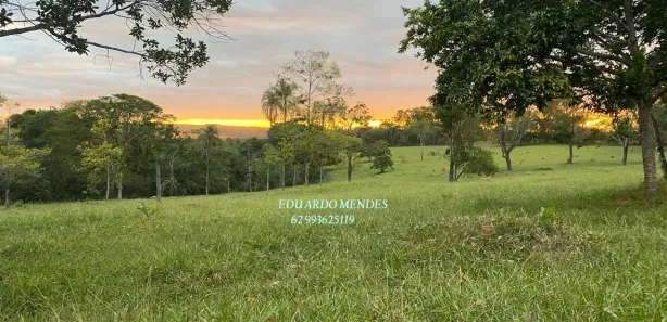 Fazenda/Sítio à venda, 1258400m² no , Abadiânia