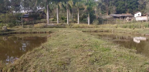 Fazenda/Sítio com 4 Quartos à venda, 52000m² no Centro, Formiga