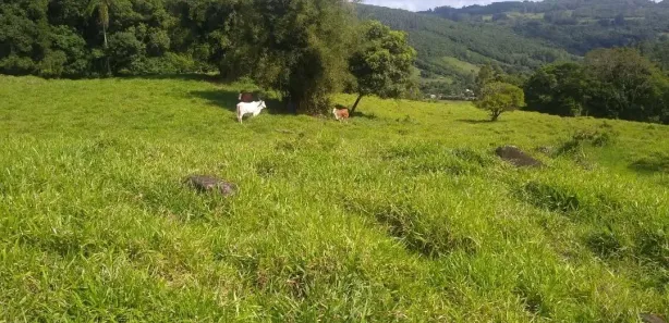 Fazenda/Sítio à venda, 90000m² no , Caraá