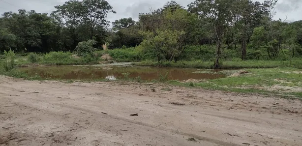 Lote/Terreno à venda, 20000m² no , Fortuna de Minas