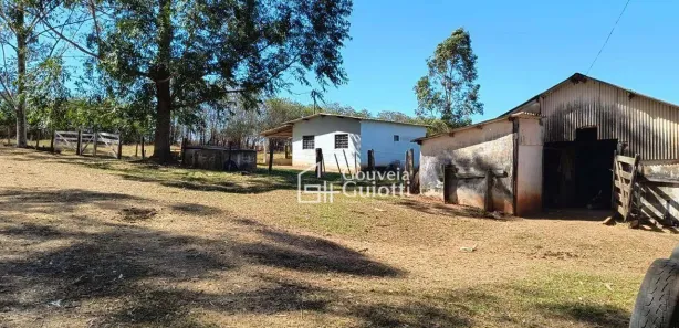Fazenda/Sítio com 3 Quartos à venda, 415756m² no Campo Limpo, Campo Limpo de Goiás