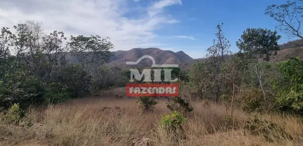 Fazenda/Sítio com 3 Quartos à venda, 200m² no São Luiz do Tocantins, Niquelândia