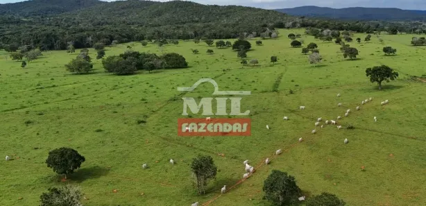 Fazenda/Sítio à venda, 500m² no , Jaraguá