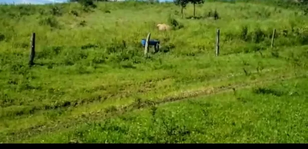 Fazenda/Sítio à venda no Centro, Padre Bernardo