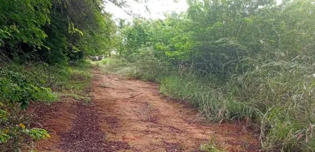 Lote/Terreno à venda, 20000m² no Park Way, Brasília
