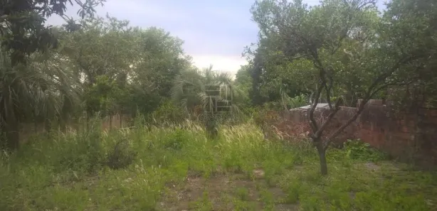Lote/Terreno à venda, 781m² no Nossa Senhora do Rosário, Santa Maria