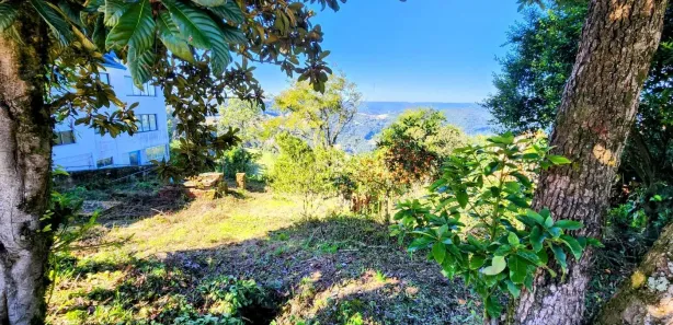 Lote/Terreno à venda, 355m² no Vila Olinda, Nova Petrópolis