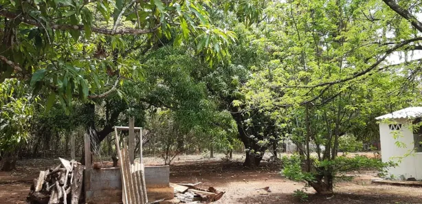 Fazenda/Sítio com 2 Quartos à venda, 10000m² no Centro, Padre Bernardo