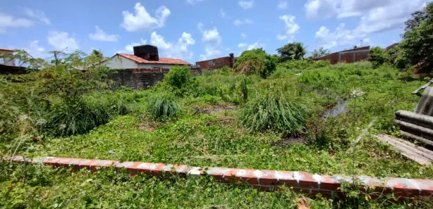 Lote/Terreno à venda, 360m² no Candeias, Jaboatão dos Guararapes