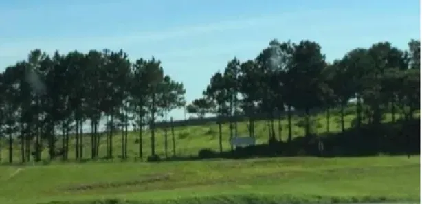 Lote/Terreno para venda ou aluguel, 10900m² no Vila Artura, Sorocaba