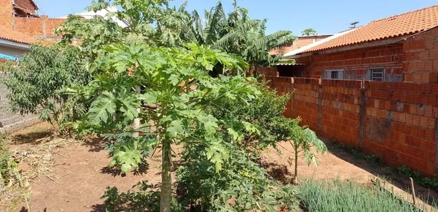 Lote/Terreno à venda, 250m² no Dois Córregos, Dois Córregos