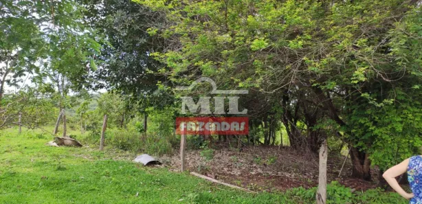 Fazenda/Sítio à venda, 500m² no , Jaraguá