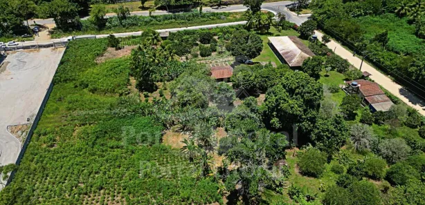 Fazenda/Sítio com 3 Quartos à venda, 10000m² no Sampaio Correia (Sampaio Correia), Saquarema