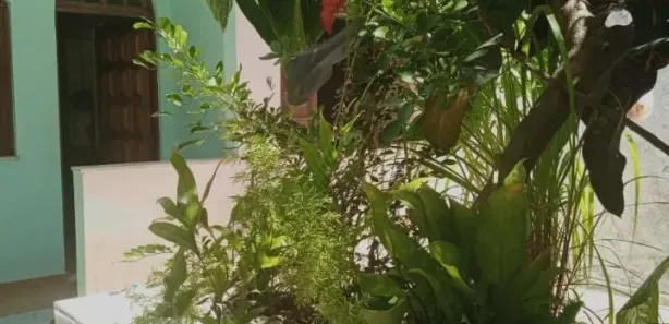 Casa com 3 Quartos à venda, 150m² no Chapada do Rio Vermelho, Salvador