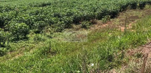 Fazenda/Sítio à venda, 6320000m² no Centro, Echaporã