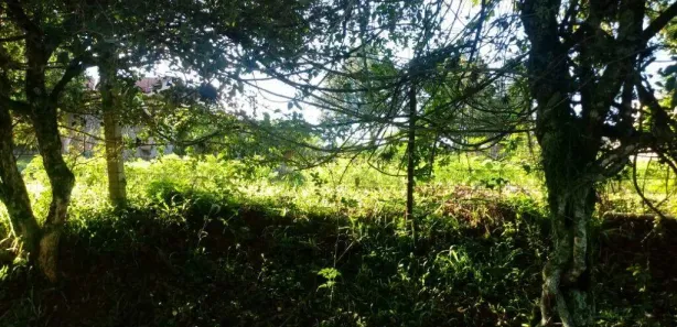 Lote/Terreno à venda, 730m² no Santo Onofre, Viamão