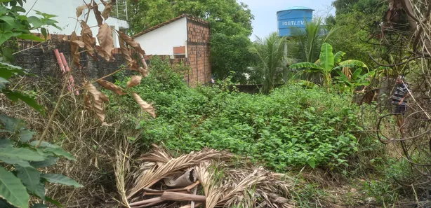 Lote/Terreno à venda, 330m² no Flores, Manaus
