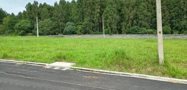 Lotes/Terrenos à venda em Ponta Grossa, PR - Viva Real