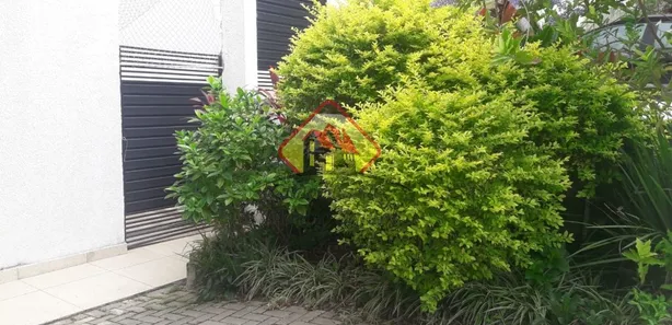 Sobrado com 3 Quartos à venda, 115m² no Vila Areao, Taubaté