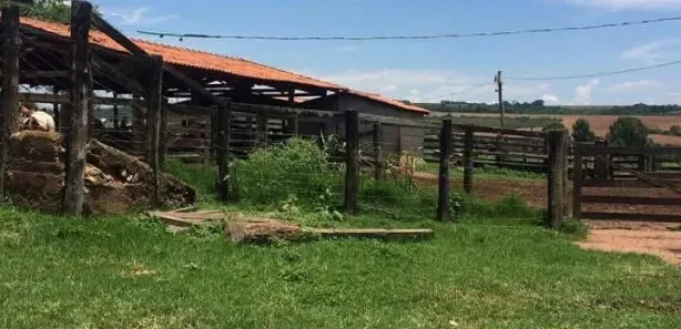 Fazenda/Sítio à venda, 102m² no , Silvânia