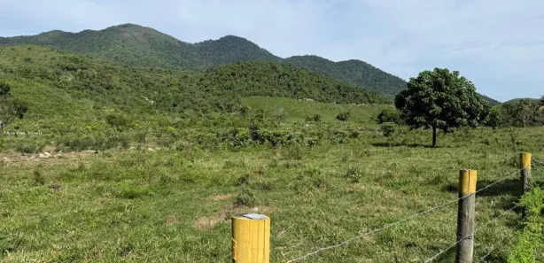 Fazenda/Sítio com 4 Quartos à venda, 490000m² no , Casimiro de Abreu