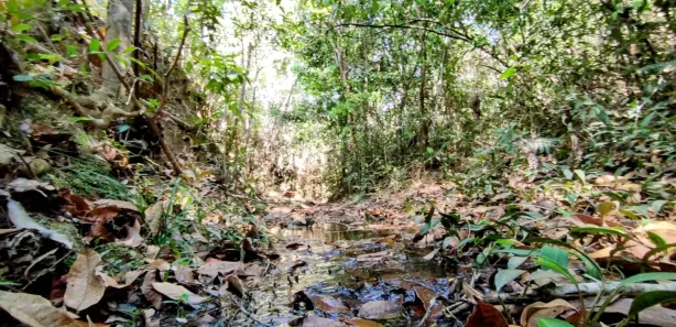Fazenda/Sítio à venda, 20000m² no , Brasília