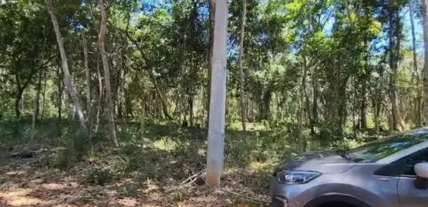 Lote/Terreno à venda, 2000m² no Açu da Torre, Mata de São João