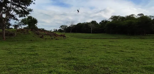 Fazenda/Sítio com 3 Quartos à venda, 2m² no , Jaraguá