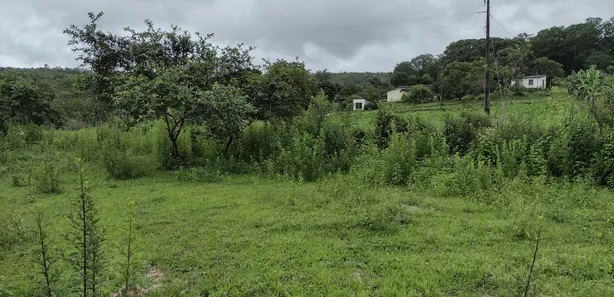 Fazenda/Sítio à venda, 20000m² no , Fortuna de Minas