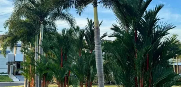 Lote/Terreno à venda, 696m² no Chapada, Manaus