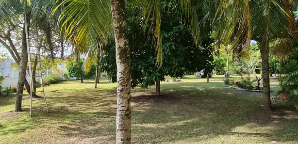 Casa com 3 Quartos à venda, 250m² no Vila de Abrantes (Abrantes), Camaçari