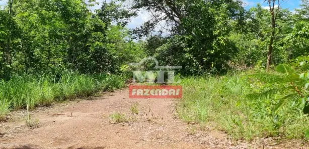 Fazenda/Sítio à venda, 484000000m² no , Jaraguá