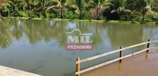 Fazenda/Sítio à venda, 70000m² no , Jaraguá