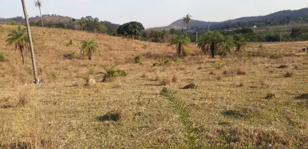 Lote/Terreno à venda, 28500m² no Centro, São José da Lapa
