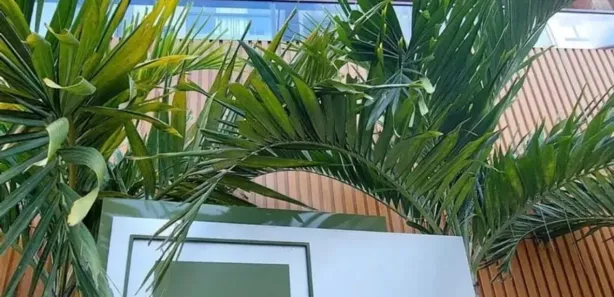 Apartamento com 1 Quarto para alugar, 25m² no Federação, Salvador